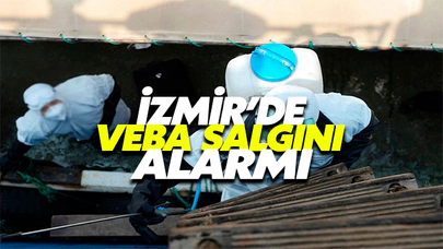 İzmir'de Veba Salgını Alarmı!
