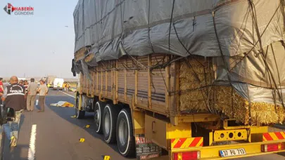 Kamyon sürücüsünün feci sonu!