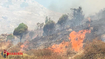 Marmara Adası'ndaki yangın yerleşim yerlerine ulaştı