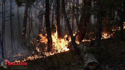 Eskişehir'de yangın kontrol altında!