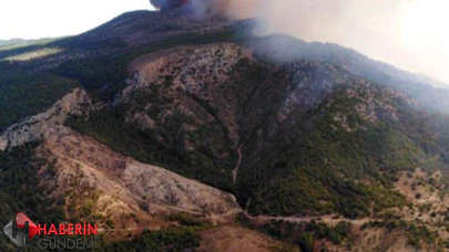 Milas'da orman yangını