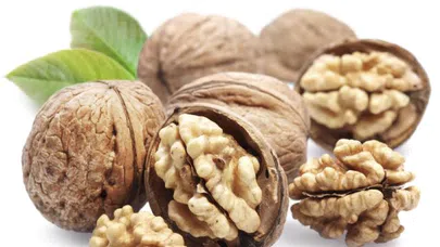 Cevizin Önemi Anlatmakla Bitmiyor