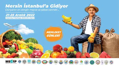 Mersin İstanbul'a Geliyor