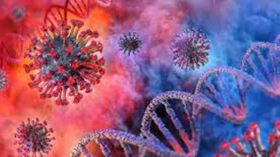 Corona Virüsü En Bulaşıcı Hale Dönüştü