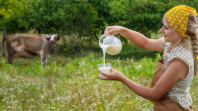 Manda Sütünün Faydaları
