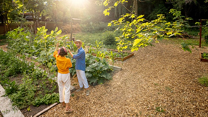 Bahçe Ekimi Hangi Tsrihte Yapılmalı