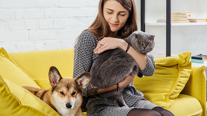 Evcil Hayvanların Terapötik Gücü, Depresyon ve Anksiyete İle Başa Çıkma