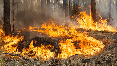 Yapay Zeka ile Orman Yangınlarına Erken Müdahale