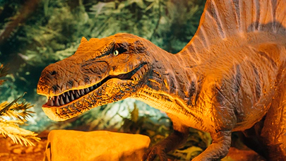 Amazon Ormanlarındaki Yeni Keşif, Tarih Öncesine Ait Bir Dinozor Türü