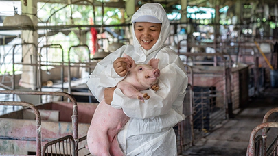 Hayvan Hakları ve Korunması, Toplumsal Bilincin Yükselişi