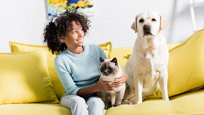 Evcil Hayvanlar için Evde Güvenlik, Zararlı Maddelerden Uzak Durulmalı