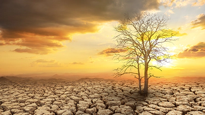 Çevre ve İklim Değişikliğinin Kökenleri Nelerdir ?