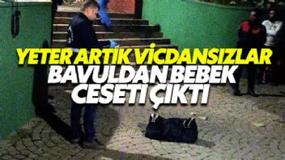 Çantanın içinden buz ve bebek cesedi çıktı!