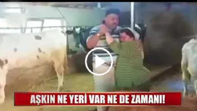 Ahırda Aşk Tazelediler... Mutluluğun Resmi...