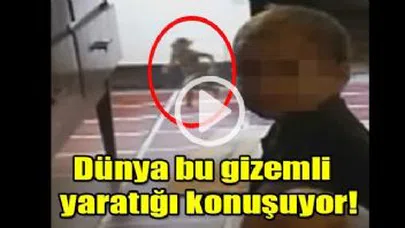 Dünya Bu Gizemli Yaratığı Konuşuyor...