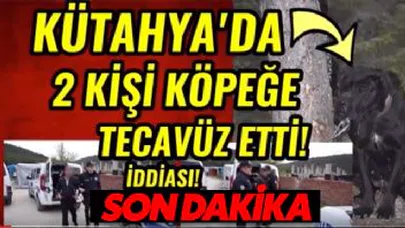 2 Kişi Köpeğe Tecavüz Etti! (İşte O İğrenç Haber)