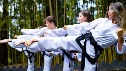 Taekwondo, Kökeni, Evrimi ve Günümüzdeki Durumu