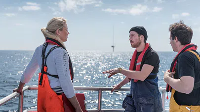 Derinliklerin Bilgeliği ve Kariyer Yolları