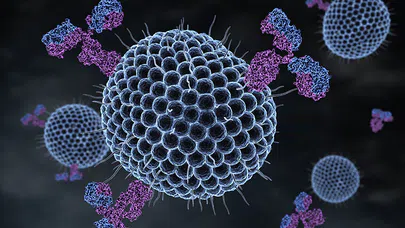 Mikroskobik Dünyanın Büyük Keşfi