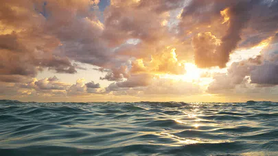 Deniz Tabanının Gizemlerini Keşfetmek