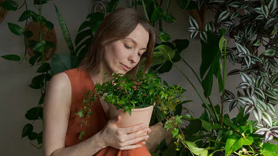 Bilinçli Varlıklar, Bitkiler ve Duygu Algısı