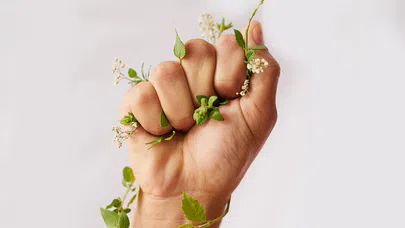 Bitkisel İçeceklerin Sağlıkta Yeniden Yükselişi