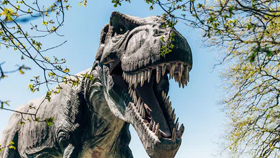 Dinozorların Sonu, Asteroit Çarpmasının Küresel Sonuçları