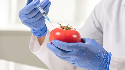 Gıda Biyoteknolojisi ve Genetik Mühendislik