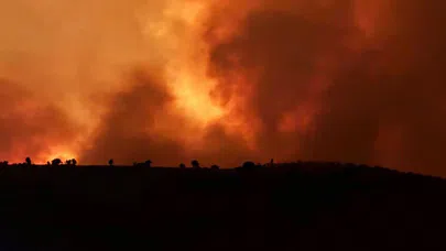 Diyarbakır ve Mardin Arasındaki Anız Yangını Felaketi