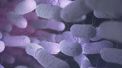 Mikropların Gücü, İlaç Direnci ve İyileşme Potansiyeli