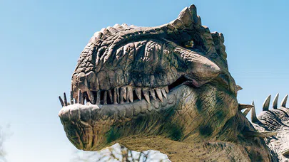 Yeni Bir Dinozor Türü Gün Yüzüne Çıkarıldı