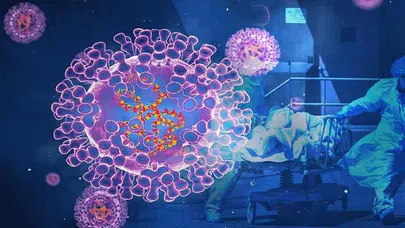 Türkiye'de Maymun Çiçeği Şüphesiyle İlk Karantina Vakaları