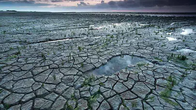 İklim Değişikliği Ruhsal Hastalıkları Nasıl Artırıyor?