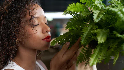 Bitkilerle Bağ Kurmanın Gizemli Dünyası