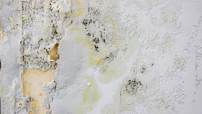 Beyaz Ekmek ile Duvar Lekelerine Pratik Çözüm