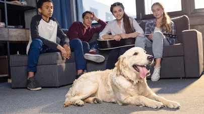 Evcil Hayvanlar Ruh Sağlığını İyileştiriyor