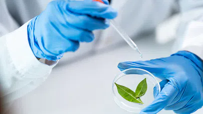 Geleceğin Tıbbı, Biyoteknoloji ile Hayat Kurtaran Tedaviler