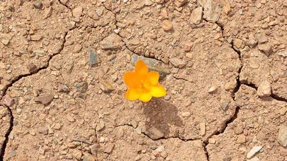 Çölde Yeşeren Hayat, Güneş Enerjili Su Üretim Projesi