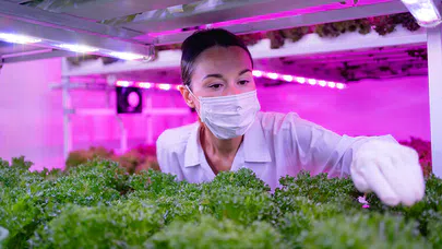 Uzayda Tarım,  Sürdürülebilir Yetiştirme Teknikleri