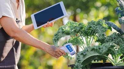 Akıllı Tarım Teknolojileri, Tarımda Verimlilik