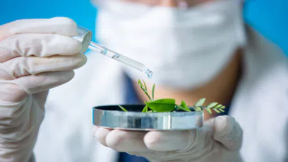 Geleceğin Sağlık Uzmanları Nasıl Yetişiyor?