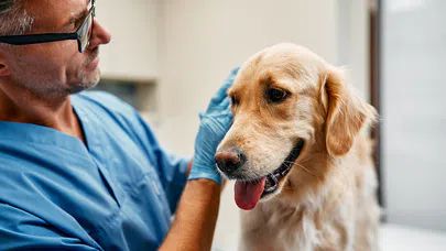 Kan Hastalıklarını Teşhis ve Tedavi Eden Uzmanlar