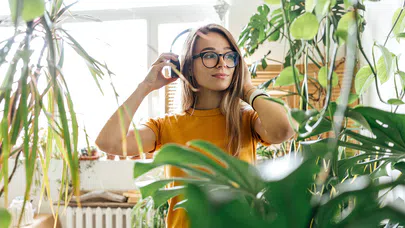 Bitkiler Sesle Büyümeye Tepki Veriyor mu ?