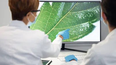 Hayvanların İlham Verdiği Mühendislik Harikaları