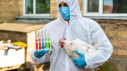 Yeni Kuş Gribi Dalgası Pandemi Endişesi Yaratıyor
