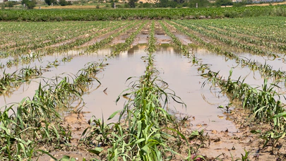 Osmaniye Sumbas’ta sağanak ve dolu tarımı vurdu