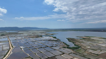 Edirne’de çeltik sezonu tamamlanmak üzere
