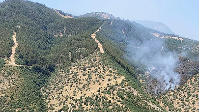 Alaşehir’de çıkan orman yangınına ekipler müdahale ediyor