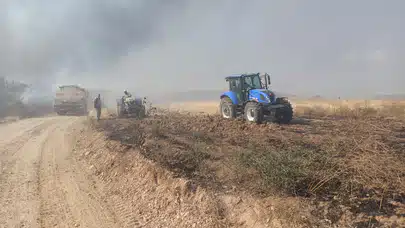 Yenişehir’de anız yangını ormana yayıldı