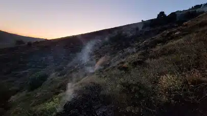 Bingöl Genç’te orman yangını kontrol altına alındı